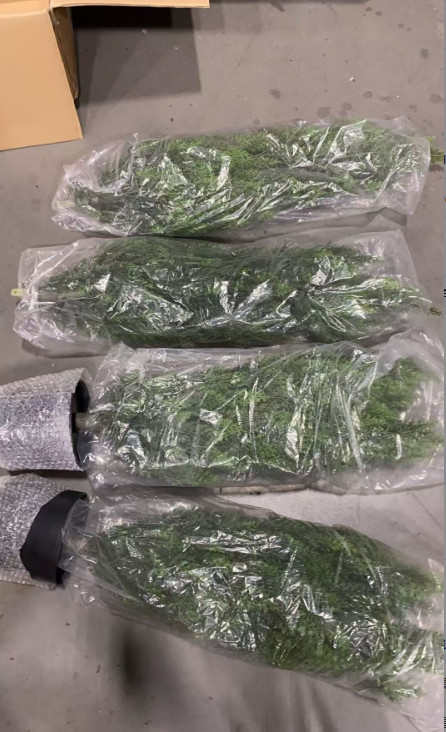 2 Pack 5ft Artificial Cedar Trees