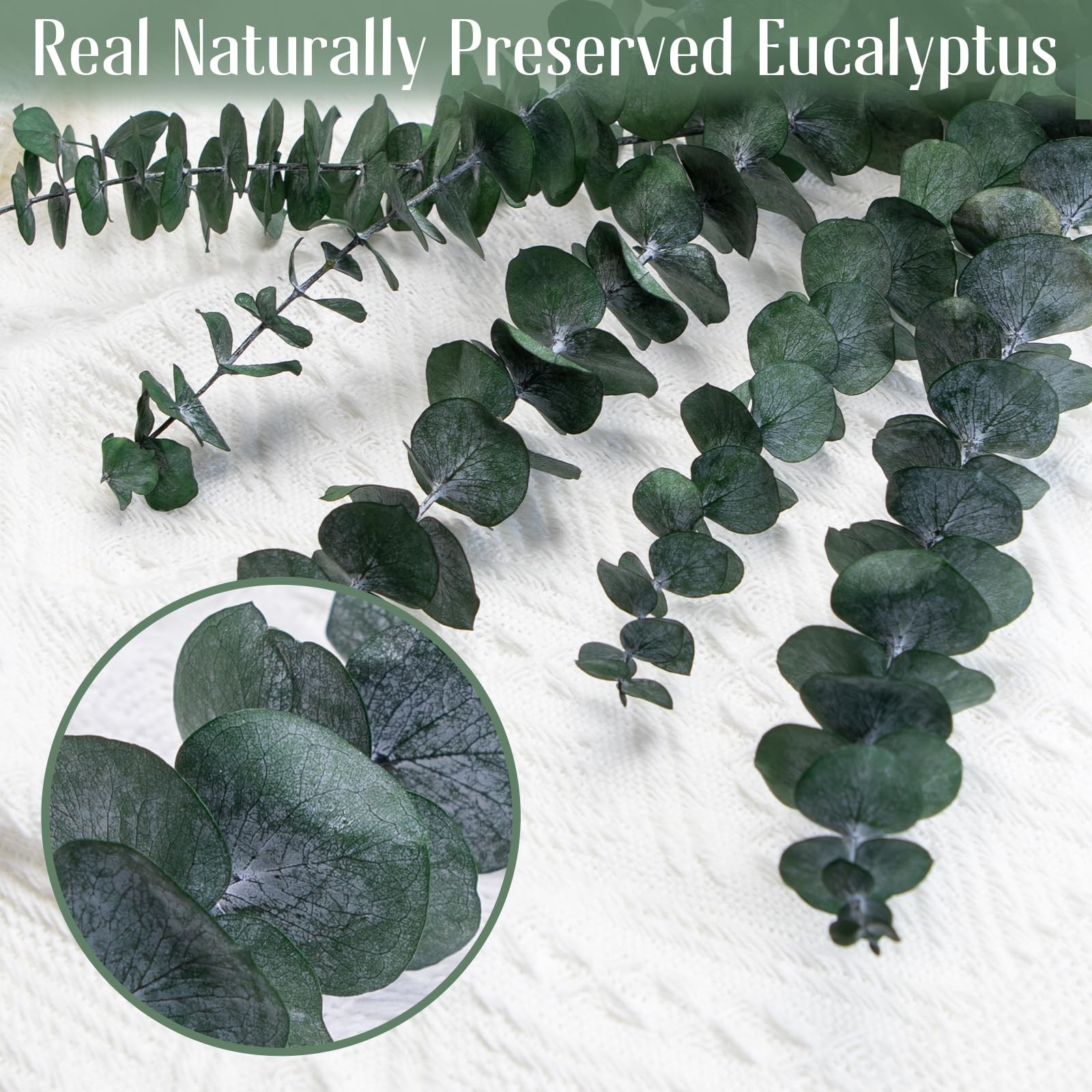 16PCS Preserved Eucalyptus Stems – 17″ Natural Dried Eucalyptus for Shower, A…