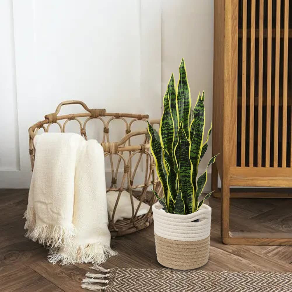 2 Set Large Fake Snake Plant 25 Inch Sansevieria Plant Artificial Snake Plant…