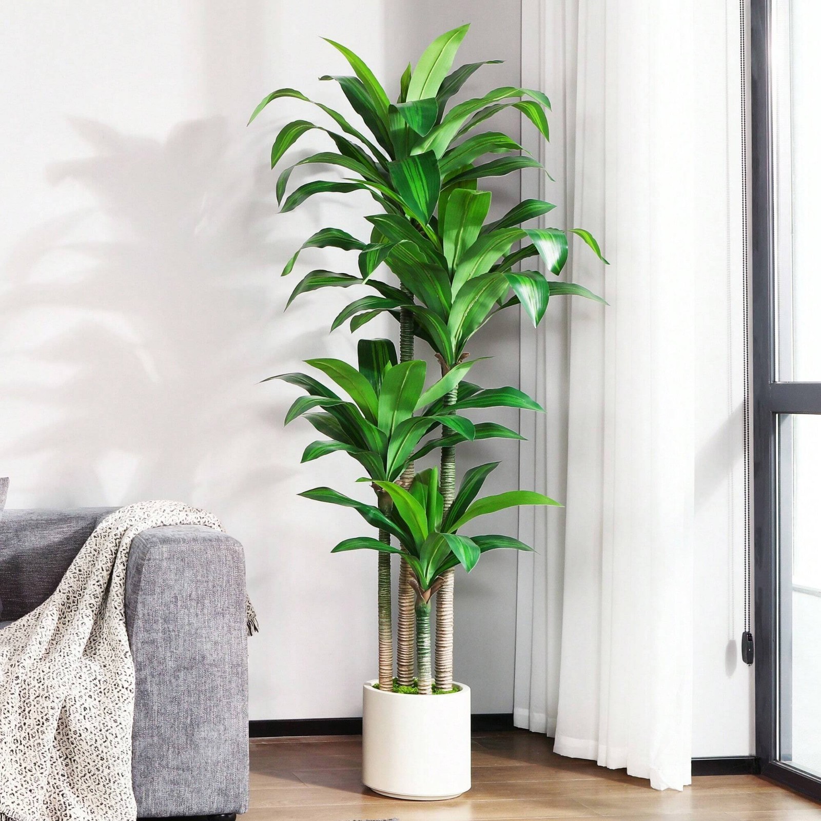 6FT Artificial Dracaena Tree with White Planter Indoor Floor Plant