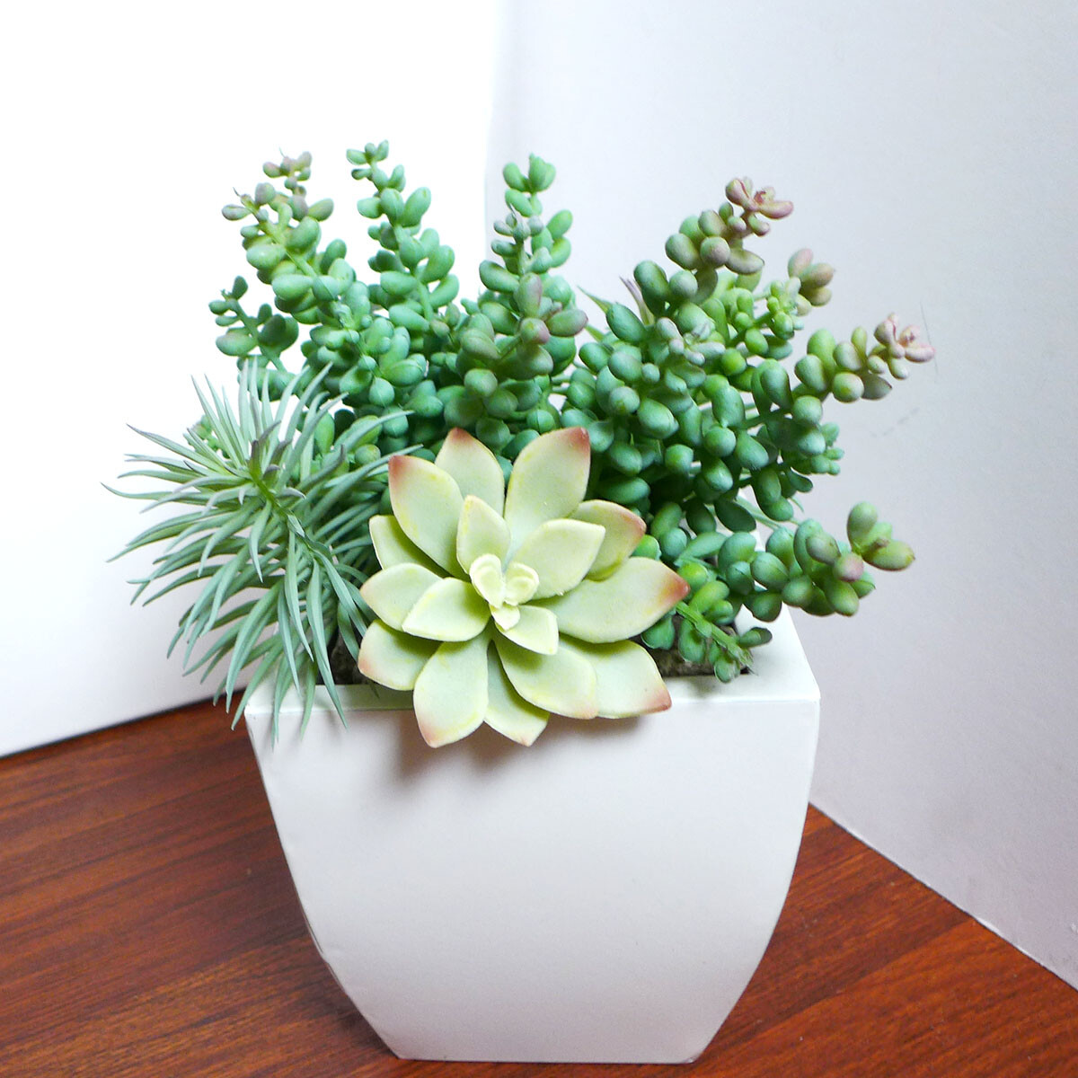 5 Pcs Artificial Plants Gray Succulents Pine Trees (#75)