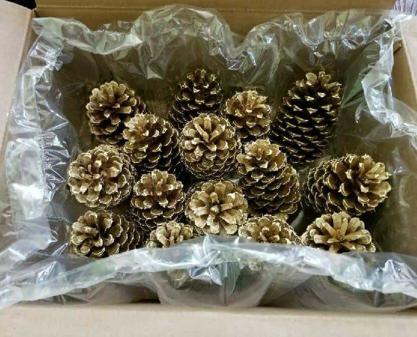 🎅15 Gold Painted Natural Pinecones
