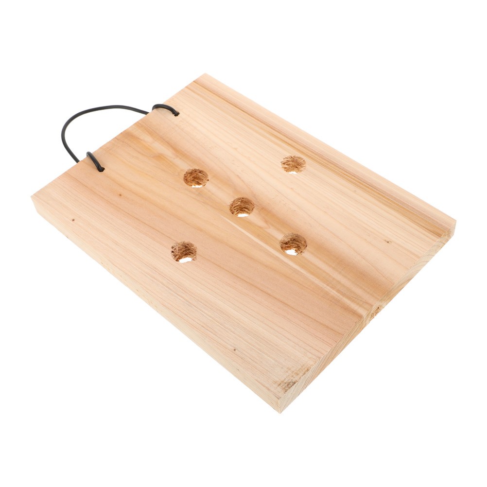 Solid Wood Wall Hanging Plant Board Fern Garden Decorative Mount