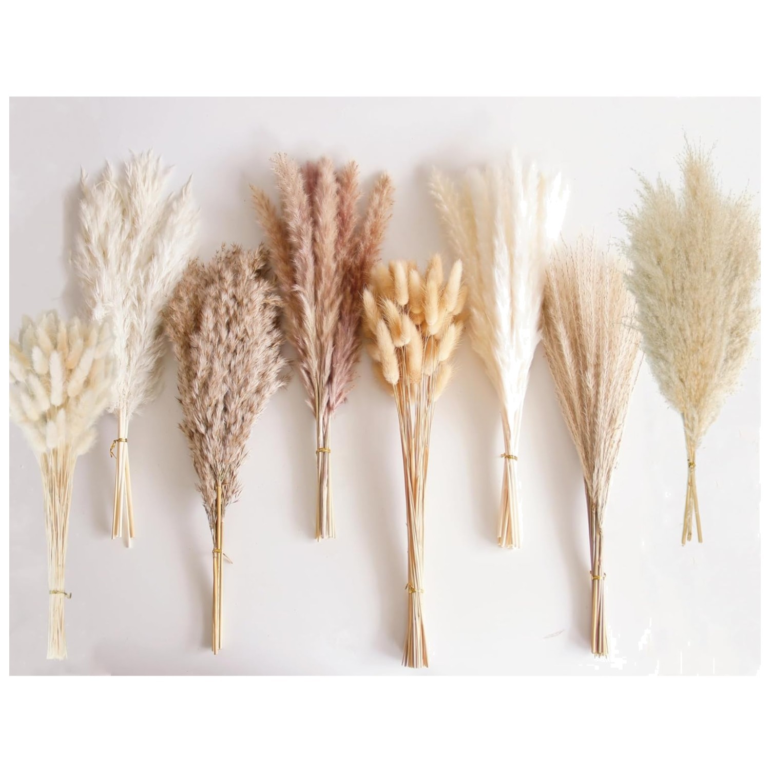 Bunny Tails Dried Flowers, Pampas Grass Bouquet – 130 PCS