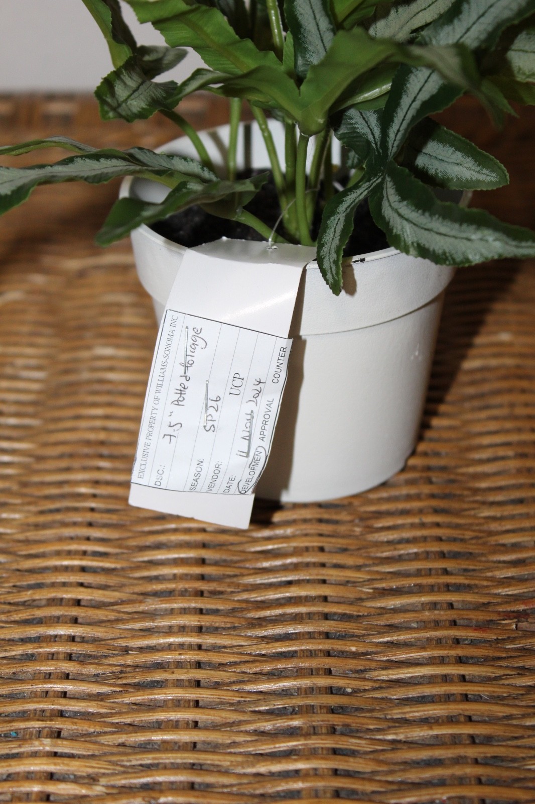 Williams Sonoma Artificial Potted Foliage Plant