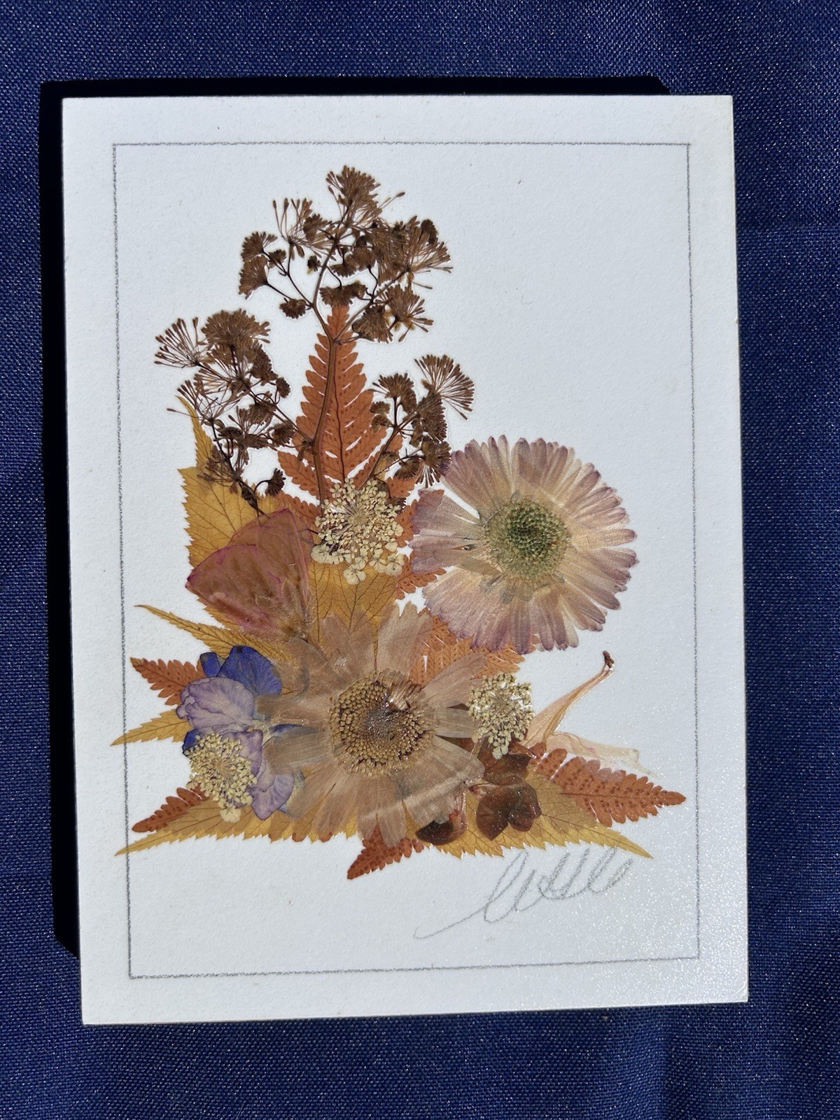 Vintage Pressed Flower Art Set 5 Botanical Floral Plaques Cottagecore Wall Decor