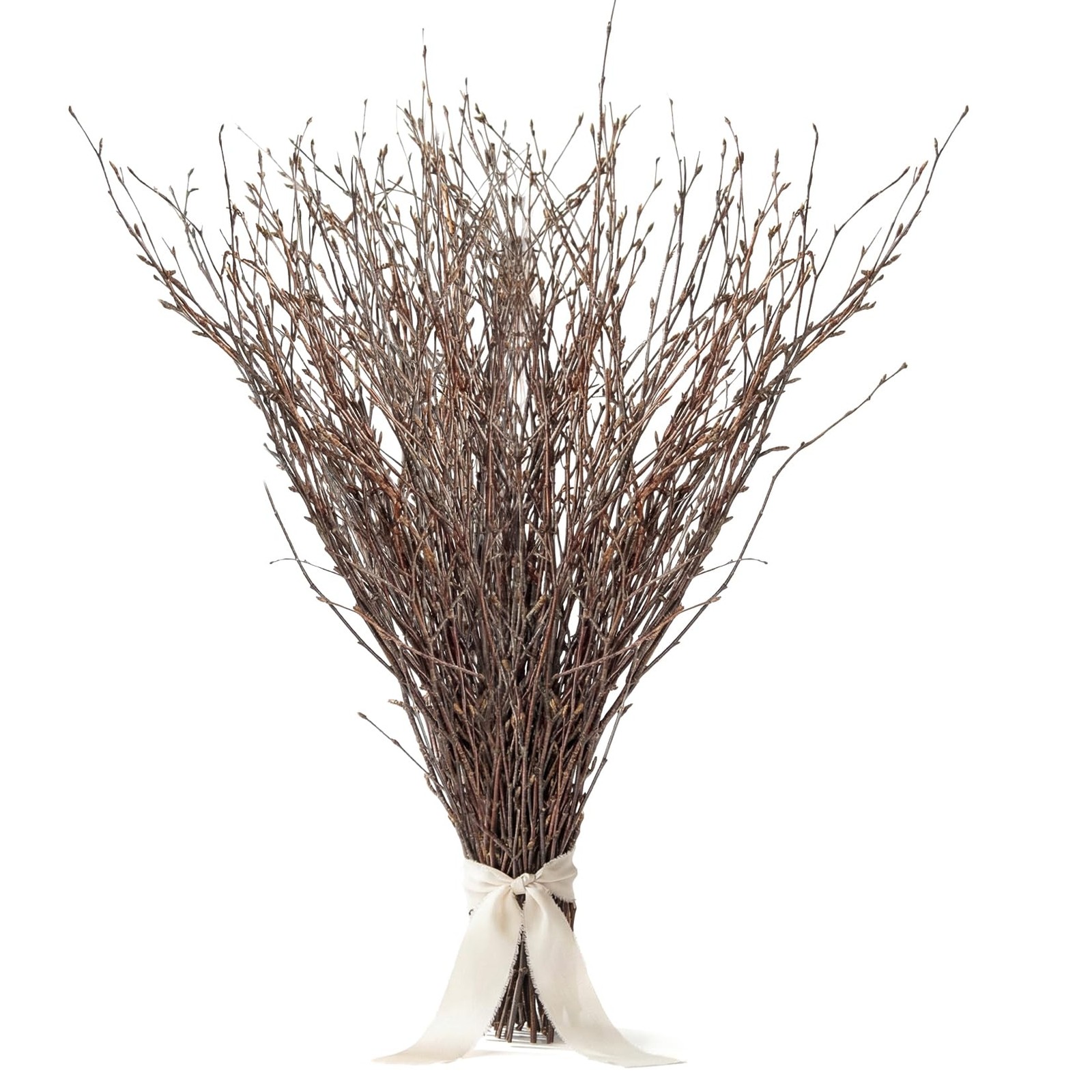 40PCS Natural Birch Twigs – 13.8 Inch Dried Birch Branches for Decoration Vas…