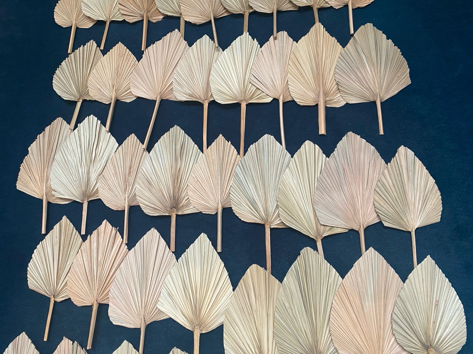 Lot Of 72 Dry Palm Leaves Natural Home Wedding Decor Boho, 42 Large, 30 Small