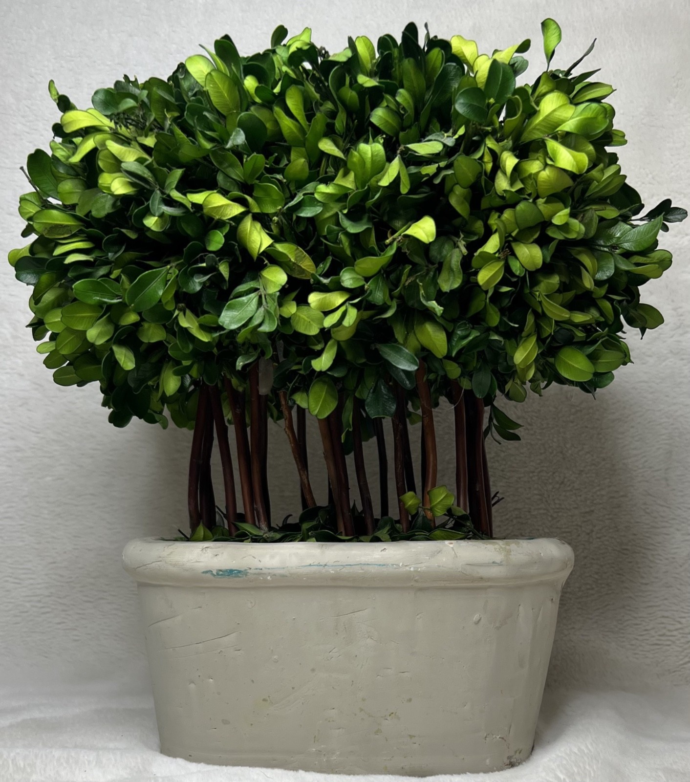 Bundle of Topiaries, Wreaths, and Picks for Decor
