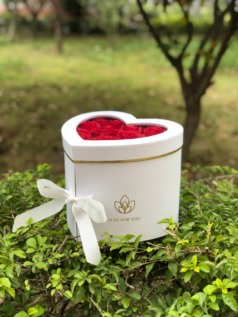 Premium Quality Heart Shape Flower Box, Floral Gift Box, 2 Tier, with Lid, White
