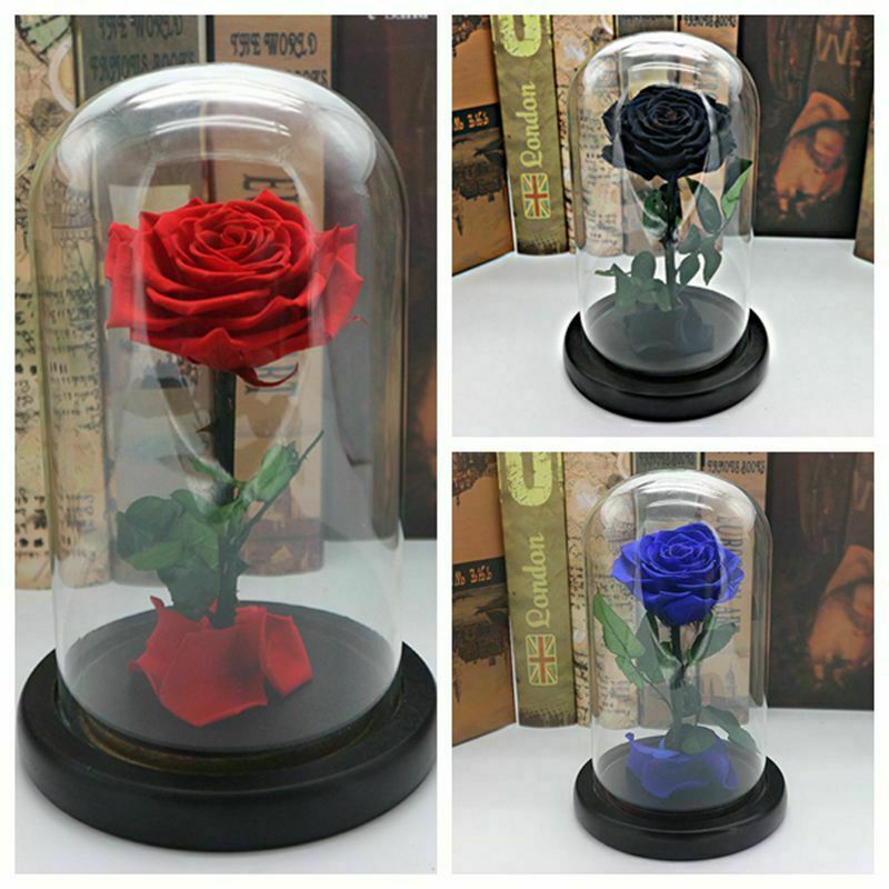 Red Blue Black Pink Forever Flower Immortal Fresh Rose in Glass Valentine’s Day