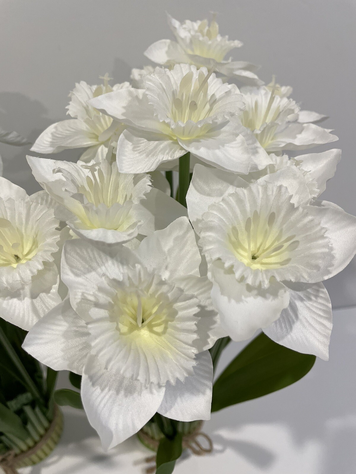 Valerie Parr Hill Daffodil Bundles – Large 15” White Set of 2 NEW
