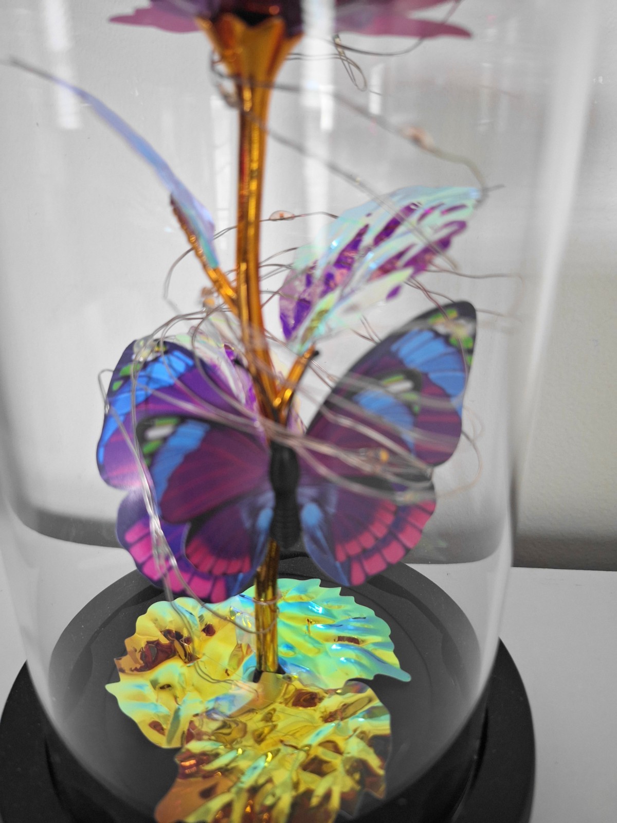 Light Up Rose in Glass Dome With Butterfly