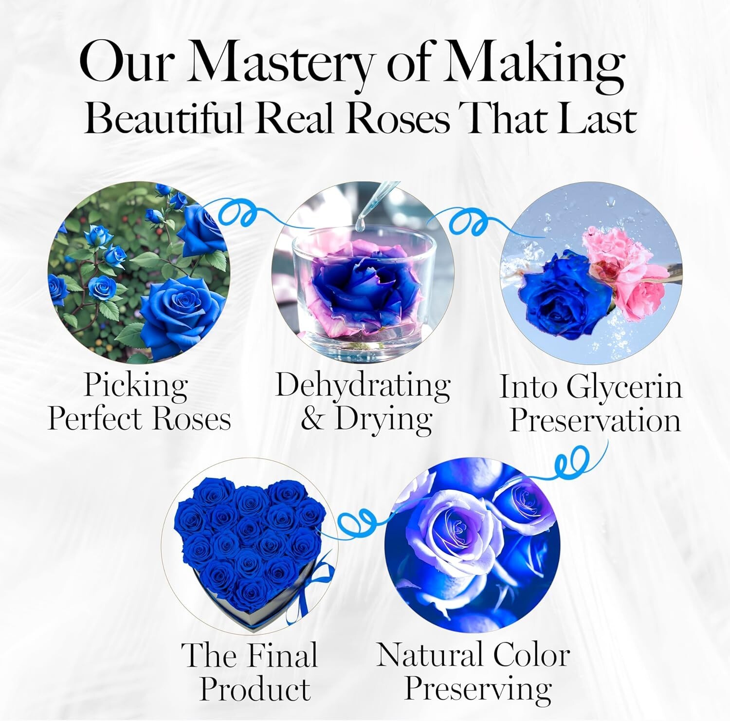 Eternal 16 Blue Roses Heart Box – Elegant Home Decor & Gift for Loved Ones