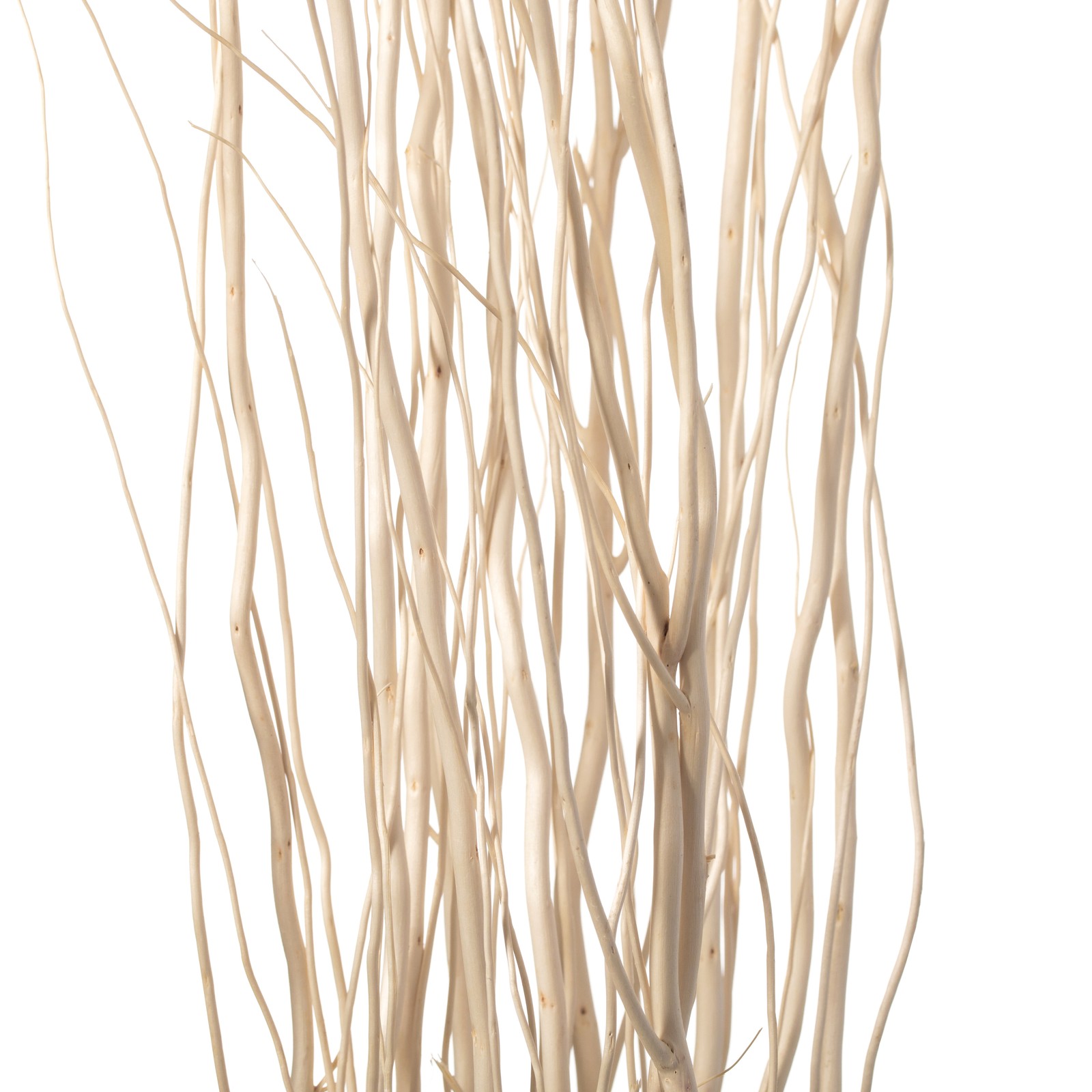 Decorative Dry Branches Authentic Willow Sticks for Home Decoration, 12 Pieces