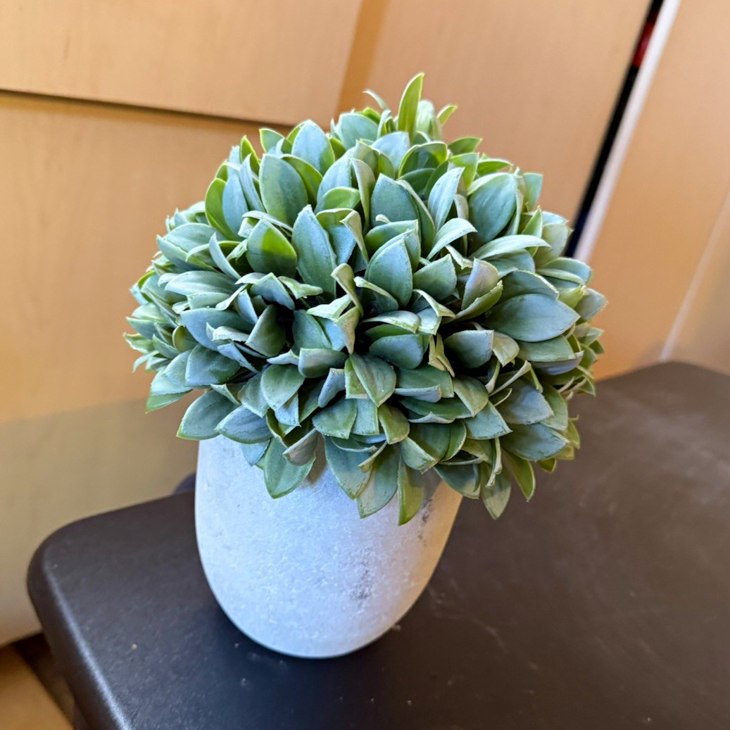 Artificial Boxwood Ball Topiary Green Plastic Floral & Garden Decor in Gray Pot