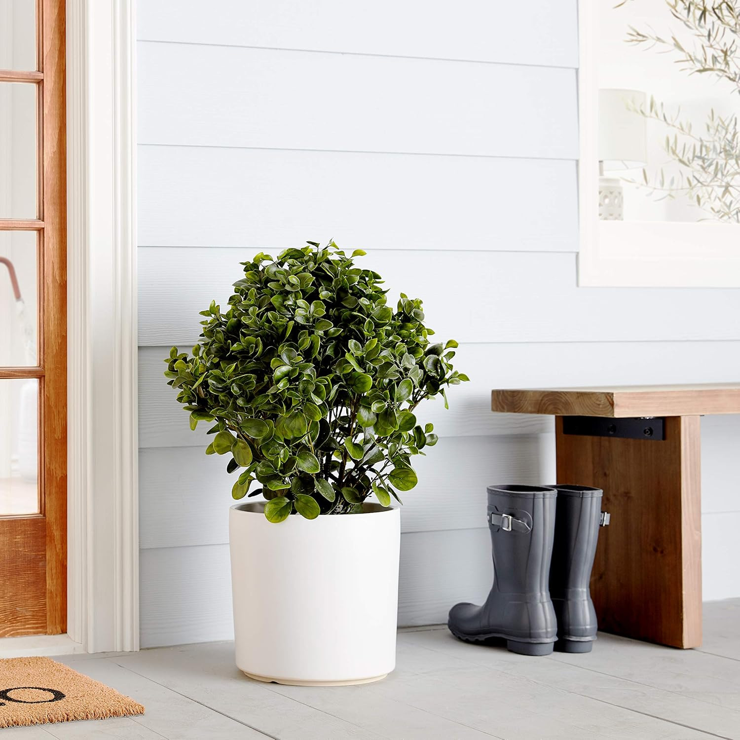 28″ UV Resistant Peperomia Plant for Indoor/Outdoor Decor