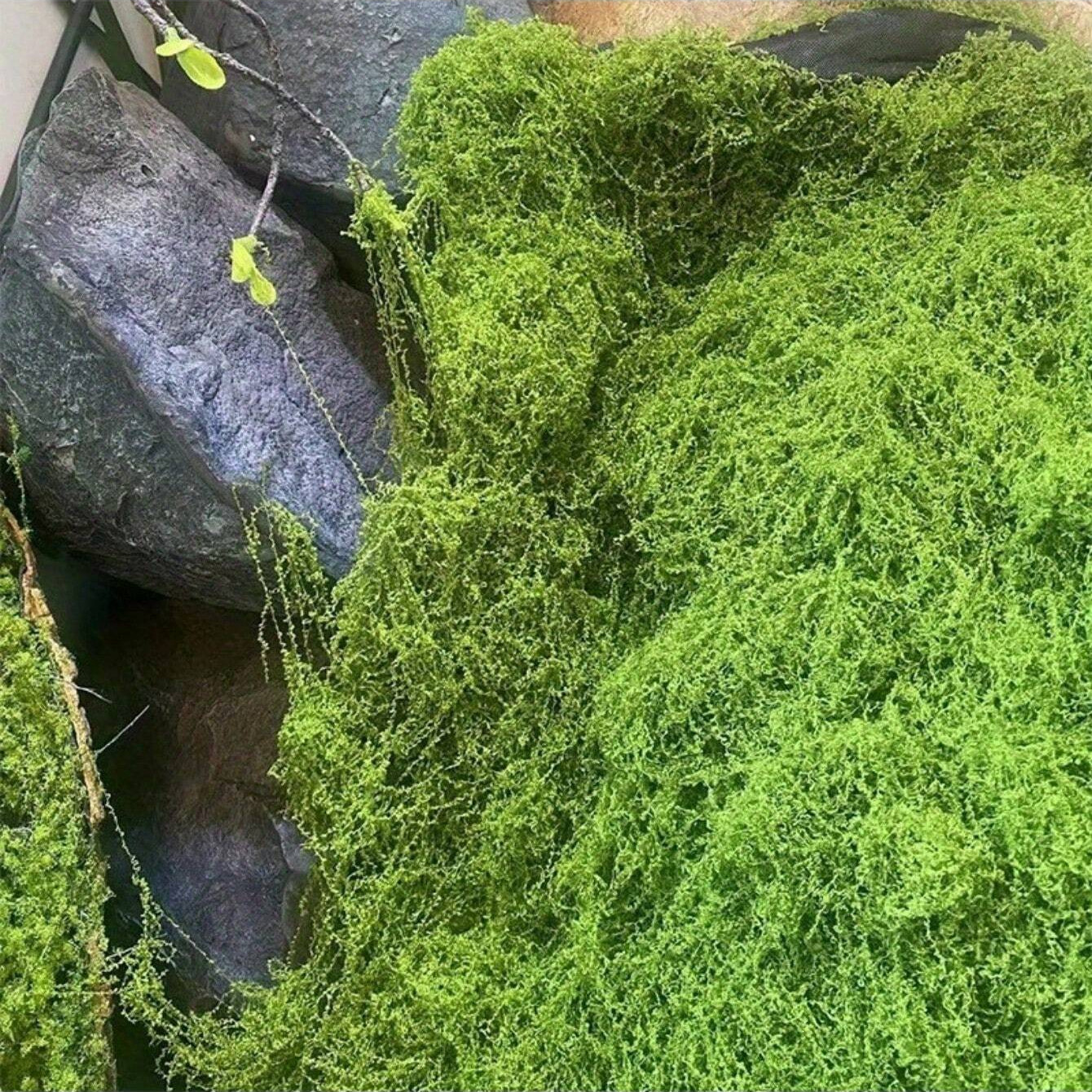 Artificial Moss Fake Green Plant Simulation Grass Centerpiece Decor For DIYCraft