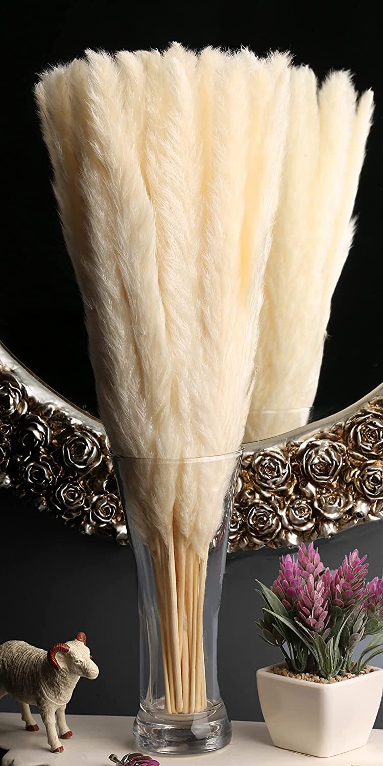 Luxury Box Protected Natural Pampas Grass Plant 30 Pieces 17” Dried Cake Decor