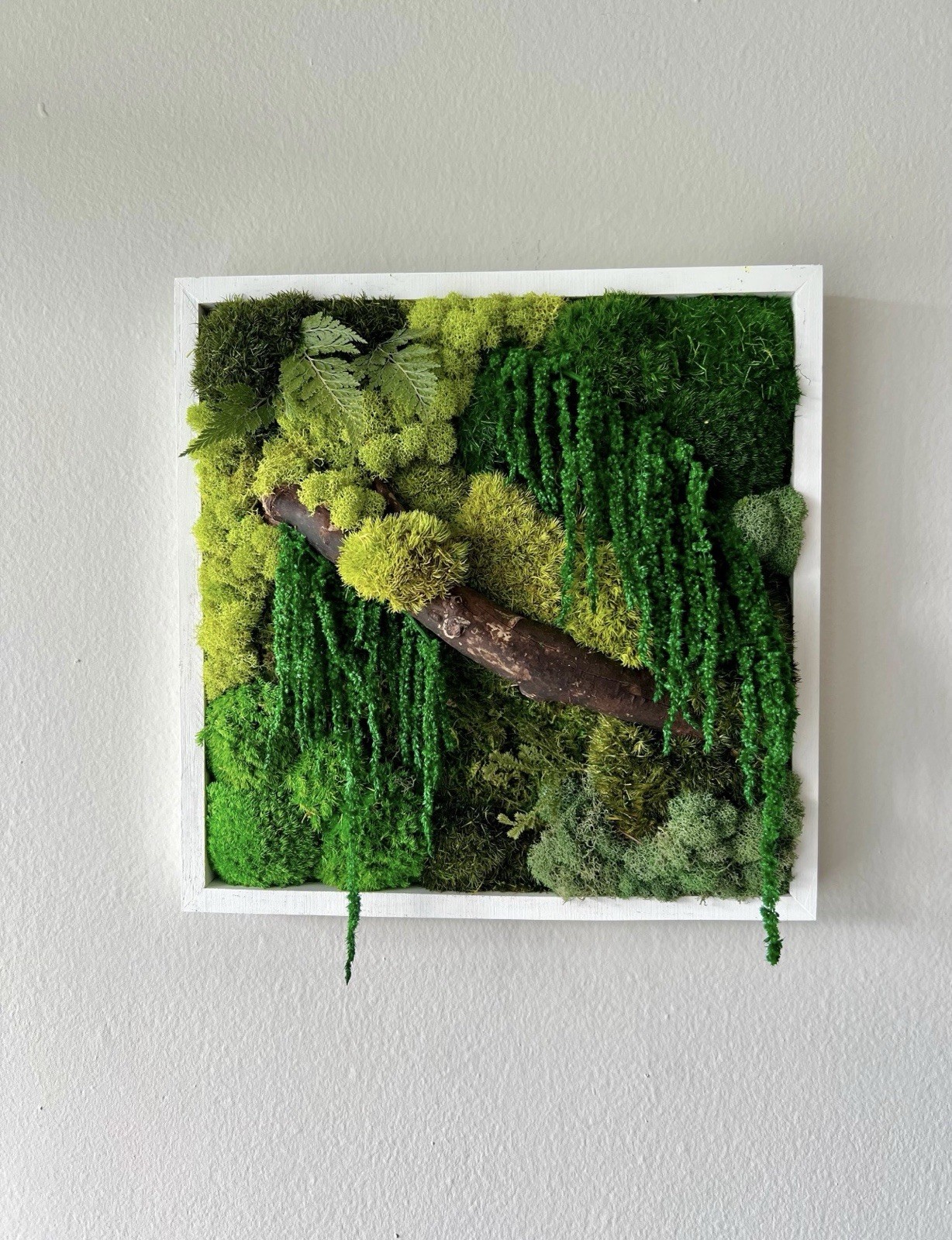 Nature & Moss Art -Wall Hanging Framed