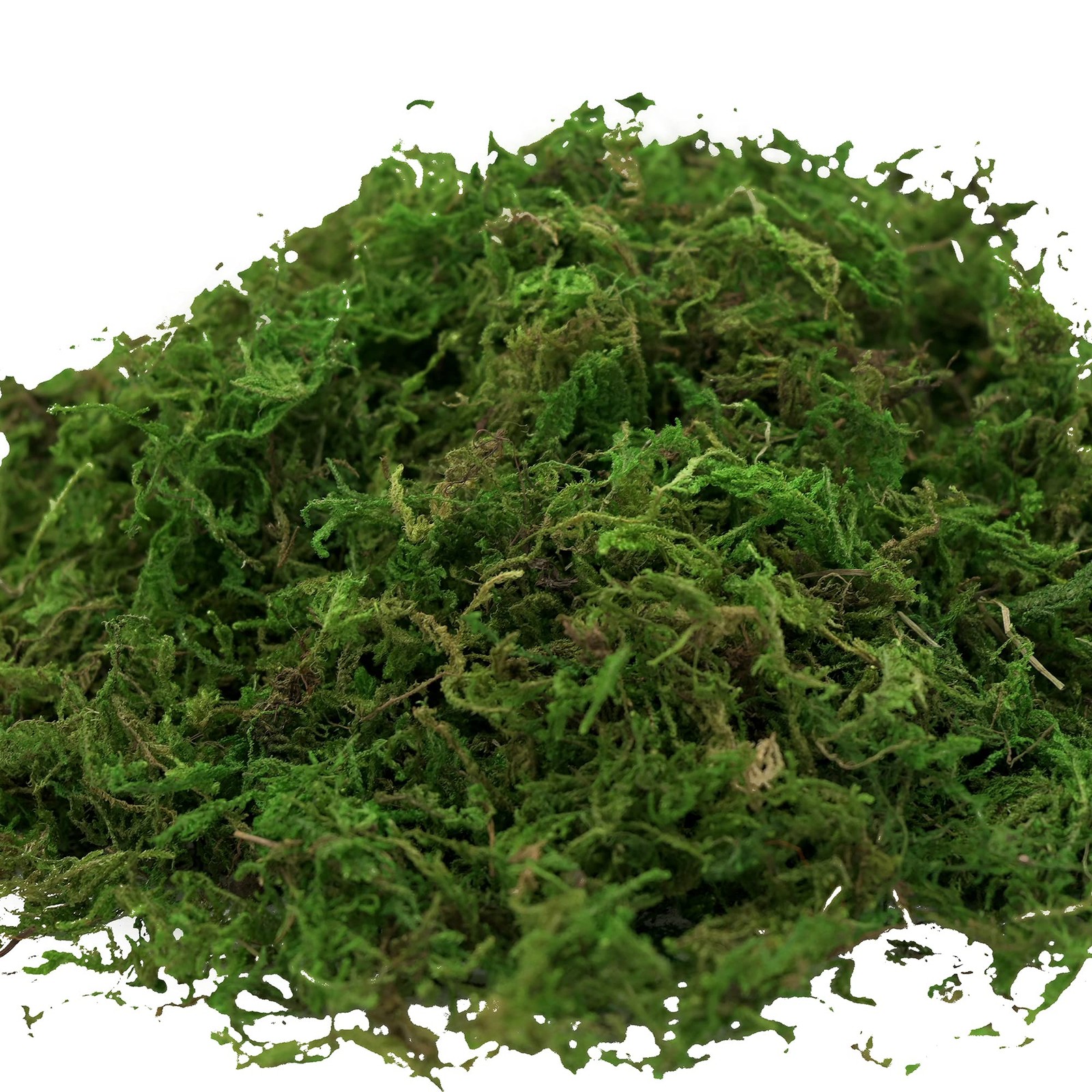 Artificial Moss, 16OZ Fake Moss for Crafts, Decorative Centerpieces, Fairy Ga…