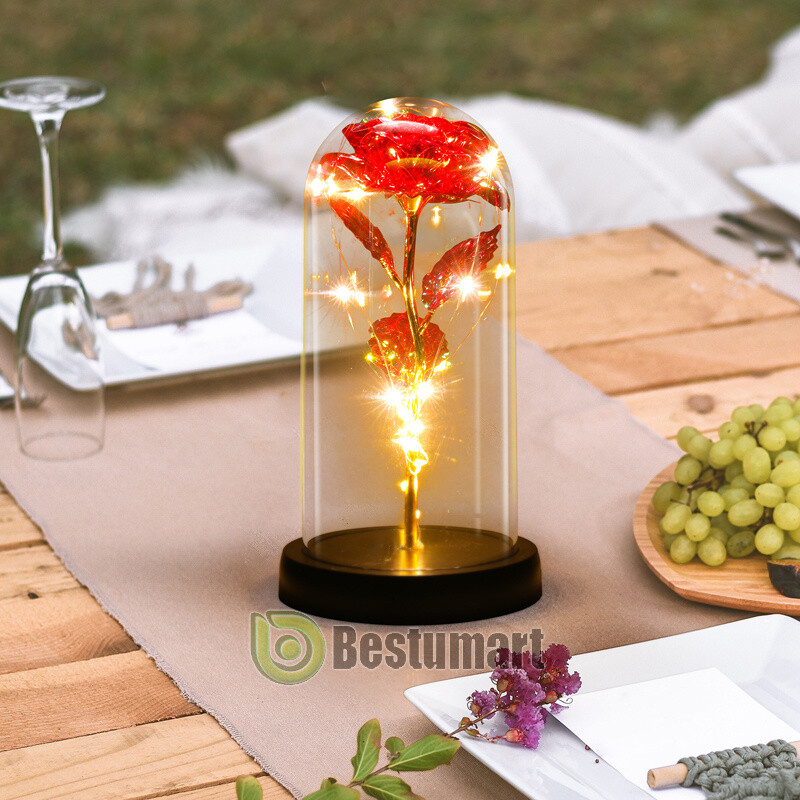 Rose LED Light Glass Gift for Wife Women Her Christmas Girlfriend Birthday Lover
