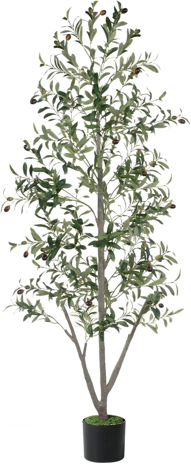 Olive Trees Artificial Indoor, 6FT Tall Faux Olive Tree with Moss and Planter,