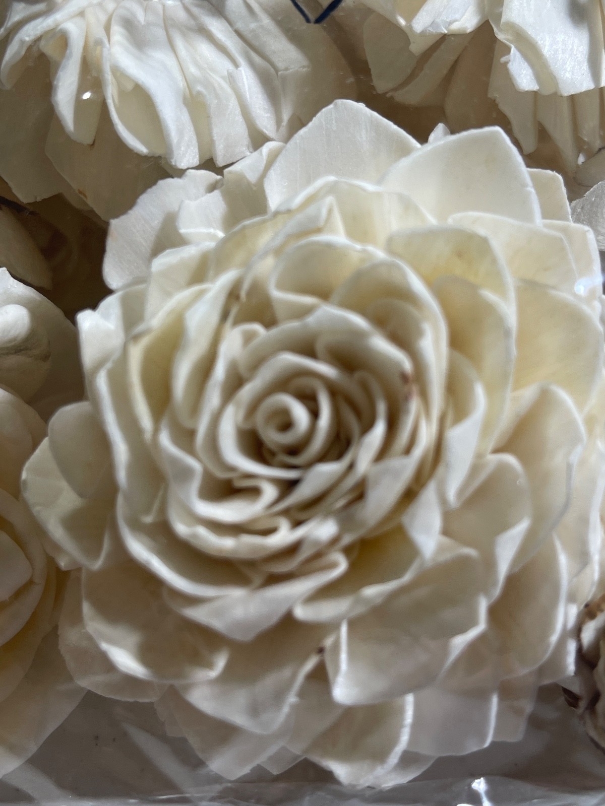 NEW Sola Wood Flowers, Medium Bouquet Assortment, Bark