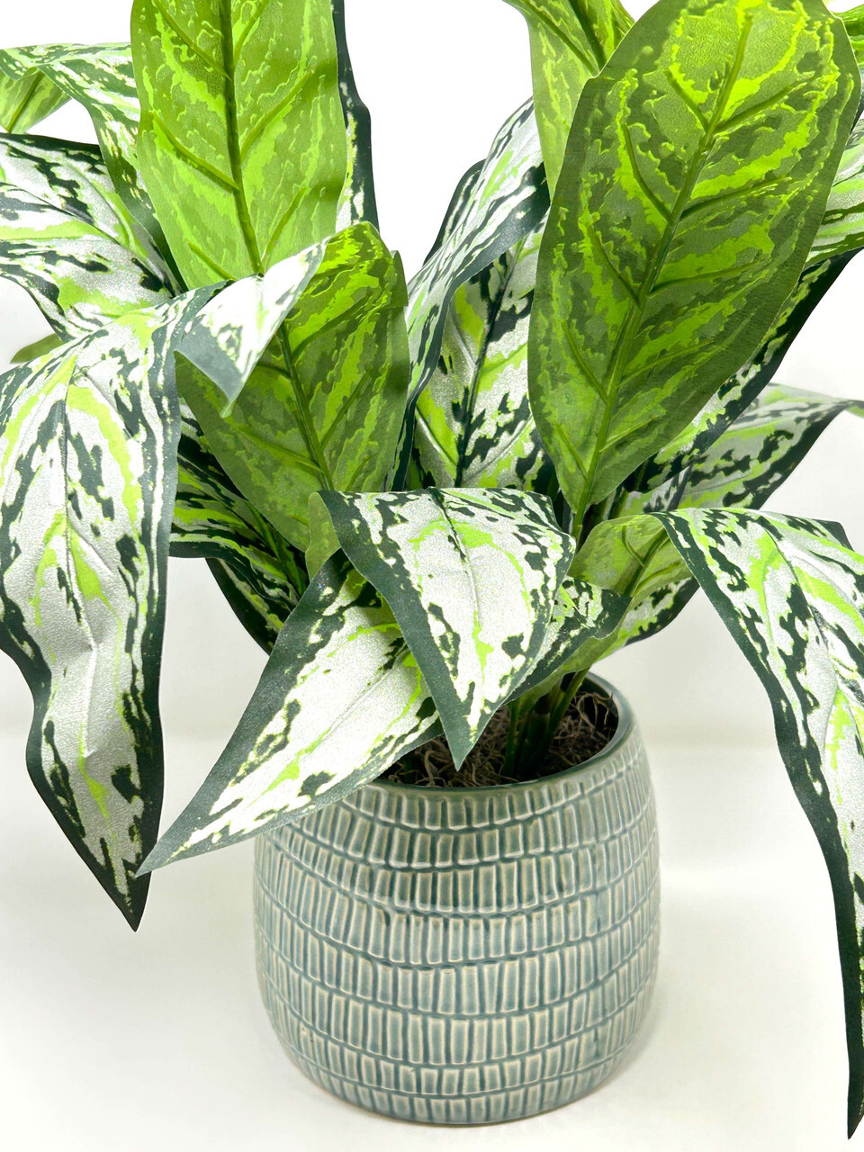 18″ Large SILVER QUEEN AGLAONEMA artificial silk Sword plant, 5″ Cream-green Cer