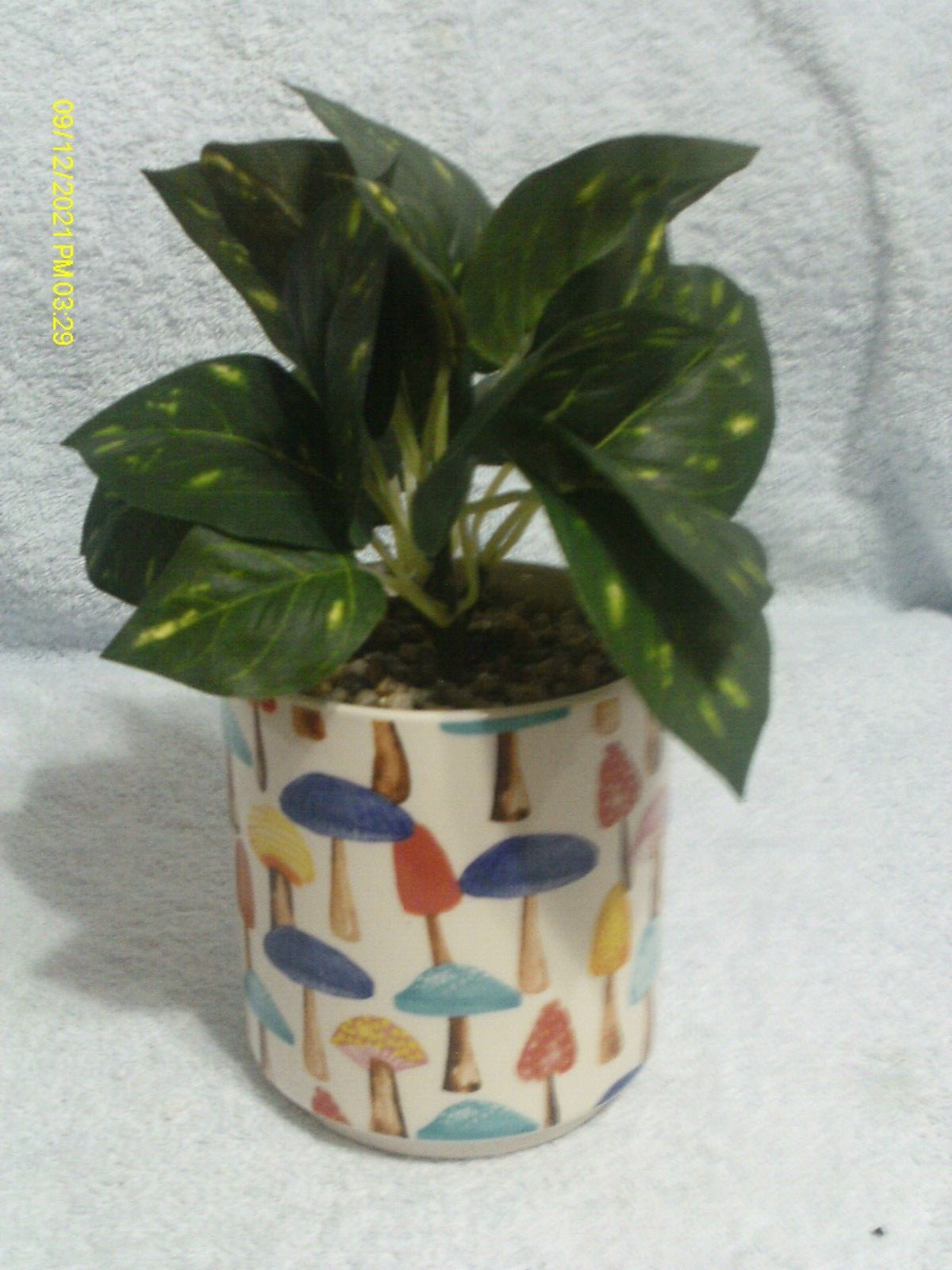 Faux Plant In Ceramic Mushroom Pot With Stones Approx. 9″ Tall