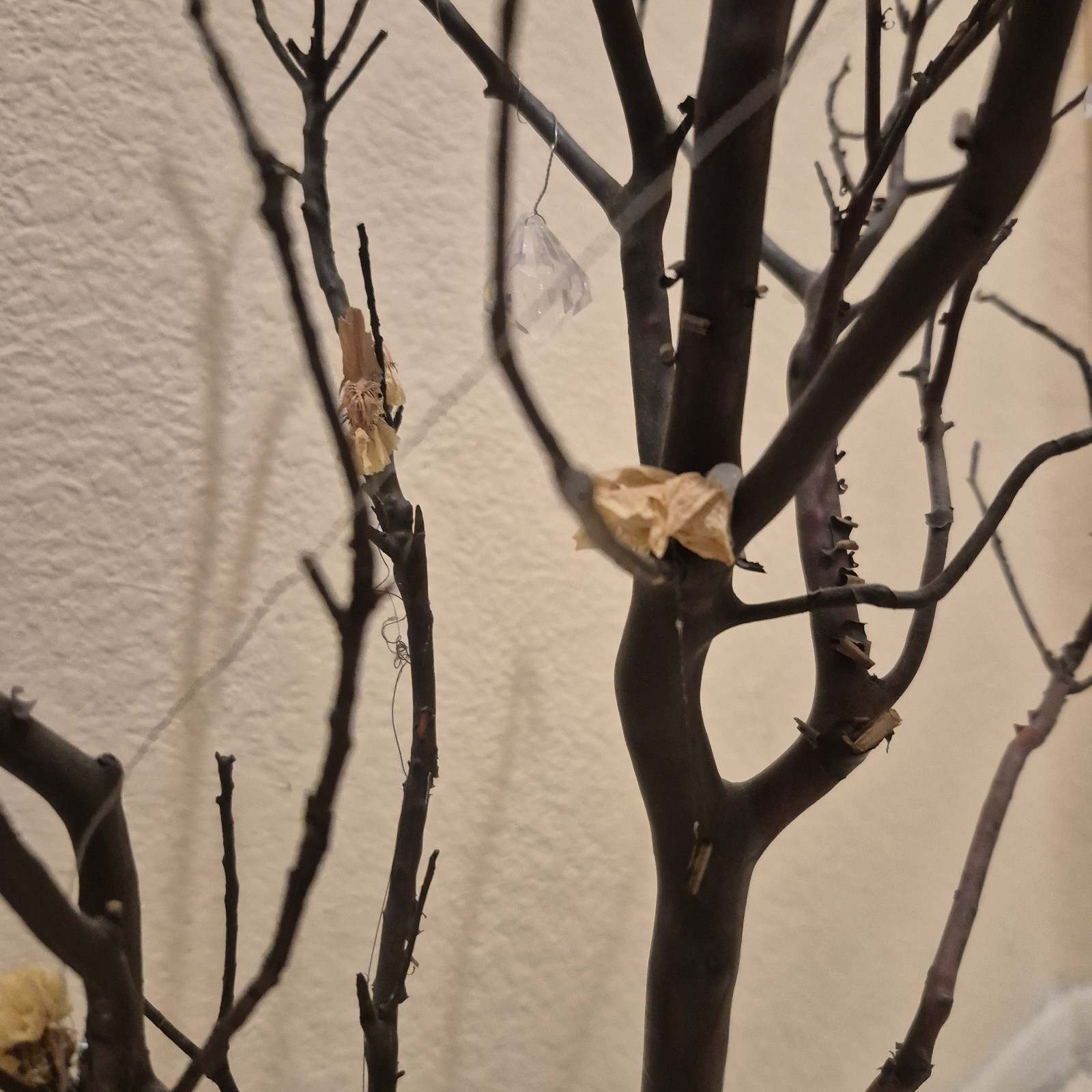 Manzanita Branch Tree Brown Stem Flower Decorative Crystal 18 Inch Centerpiece