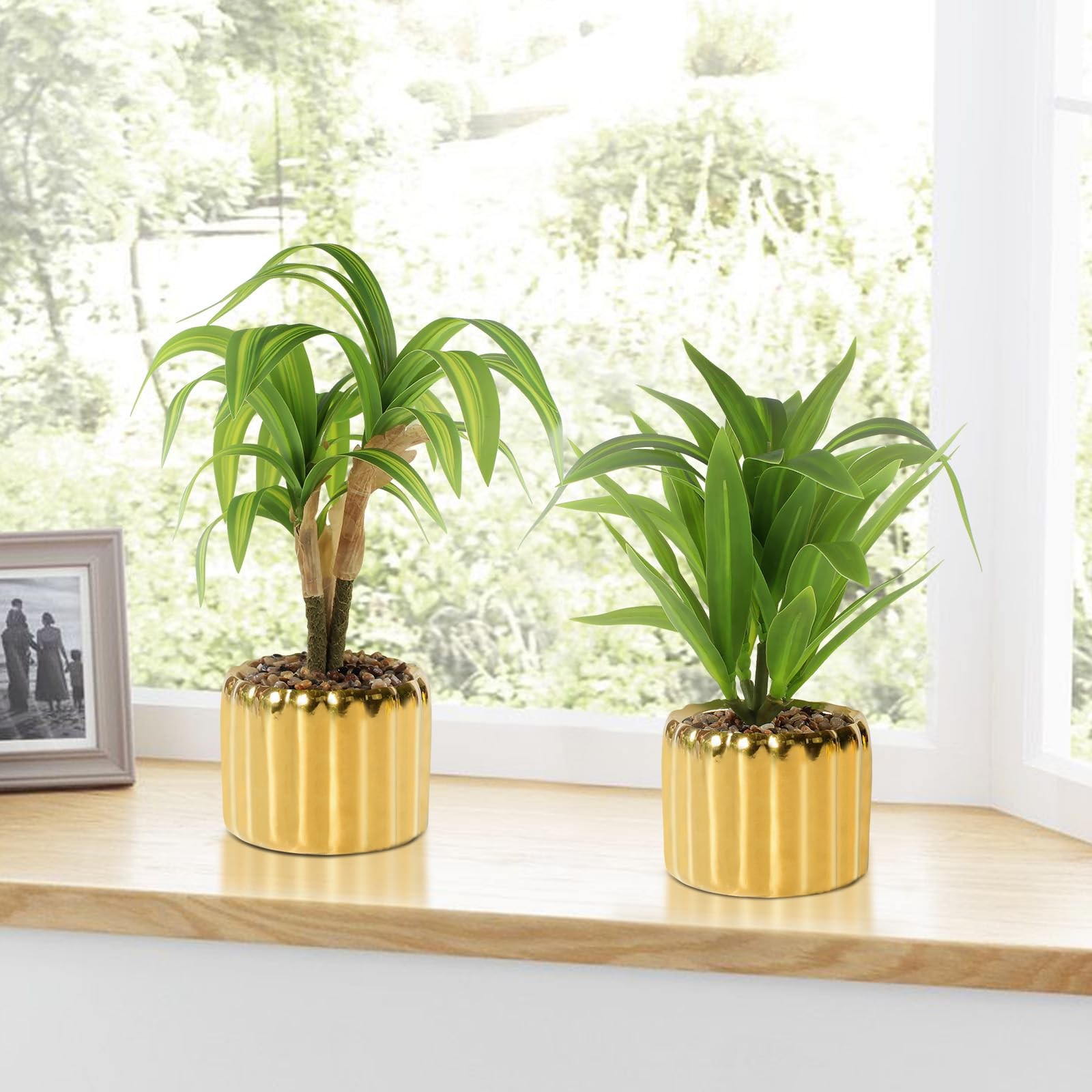 2 Pcs Artificial Dracaena Plant Golden Ceramic Pot Realistic Textured Faux Pl…