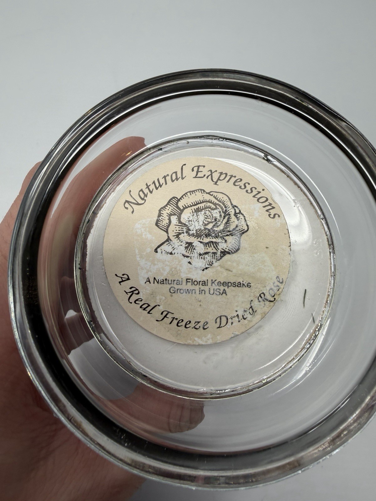 Natural Expressions Freeze Dried Rose Floral Keepsake Glass Dome Decor