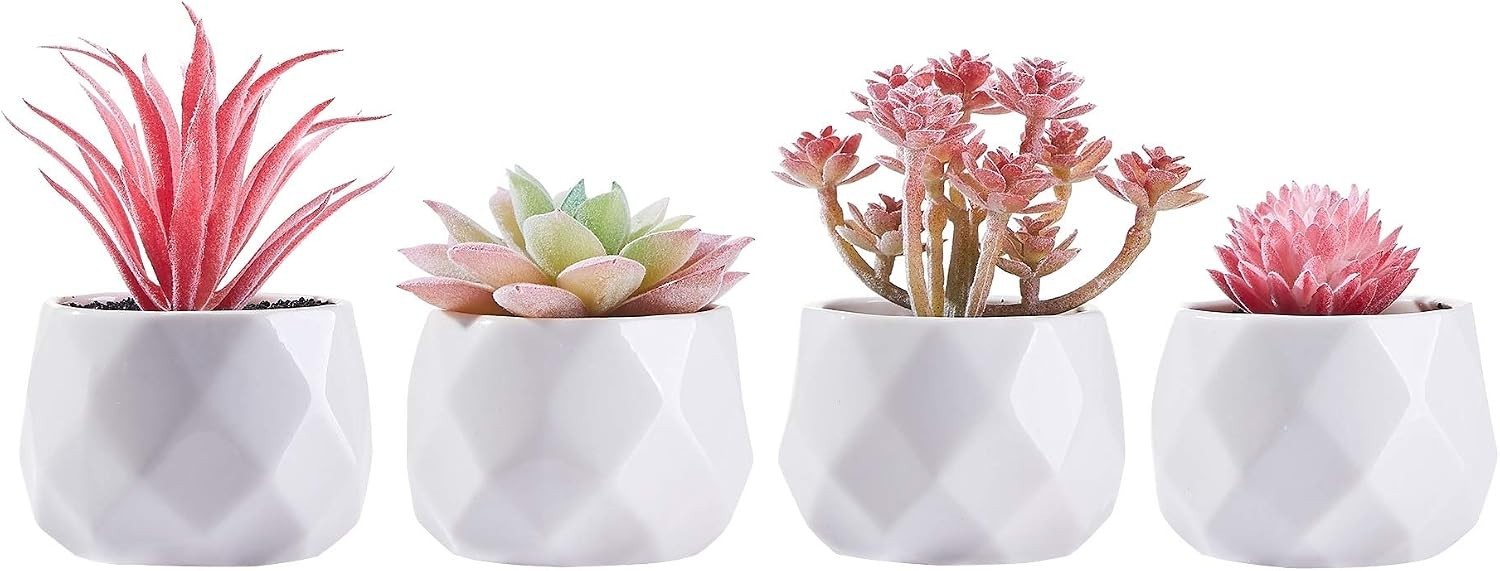 Realistic Faux Succulents Set – Eco-Friendly Indoor Decor for Home and Office