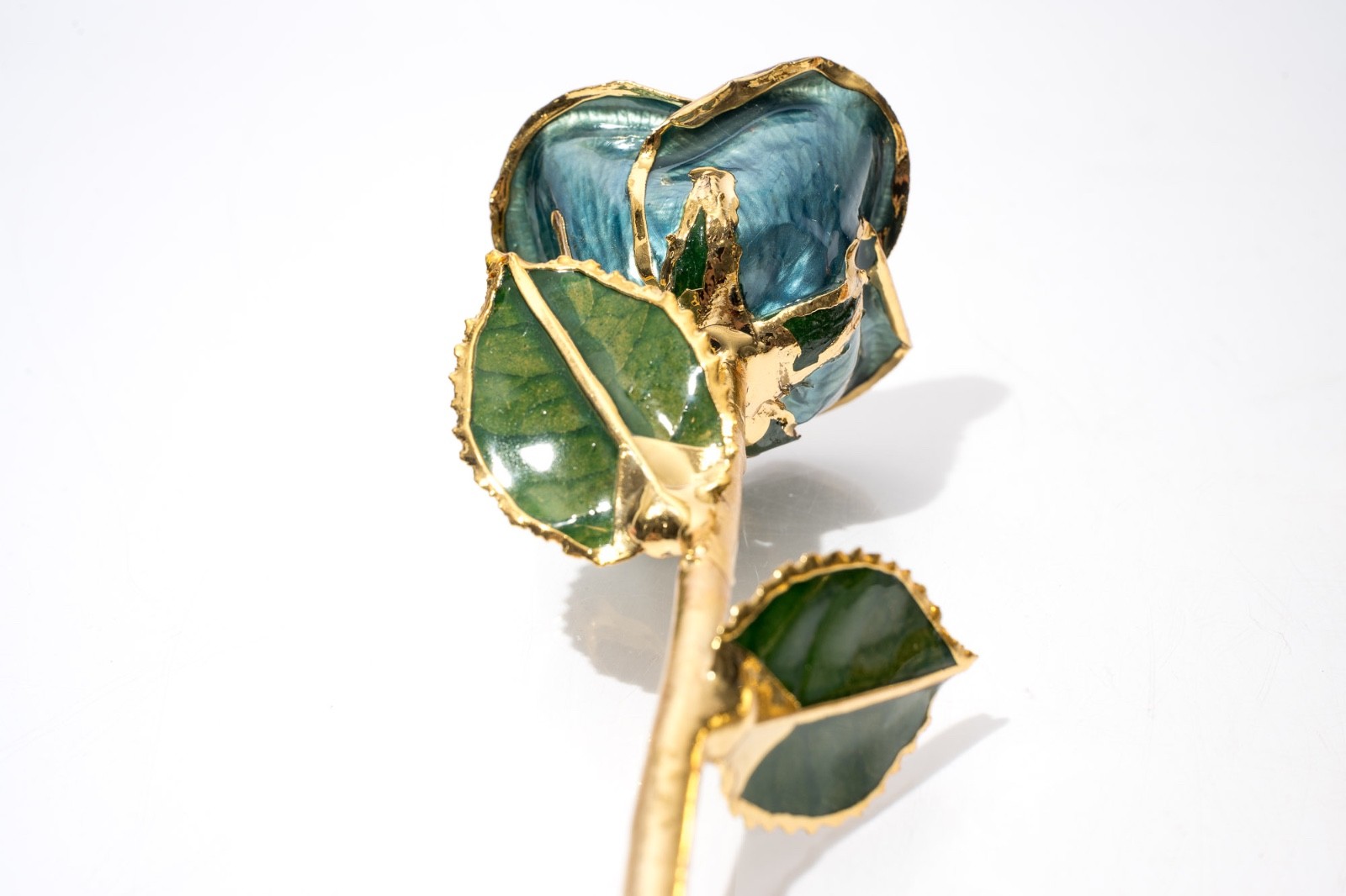 Gold Tipped Real Roses, Gift For Her