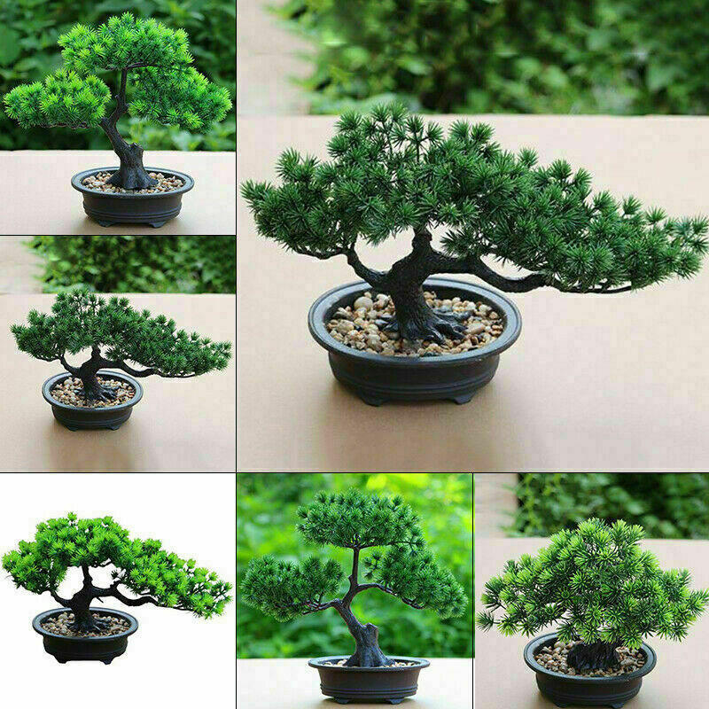 Bonsai Artificial Fake Quality Green Pine Tree Plant Home Garden Office Decor