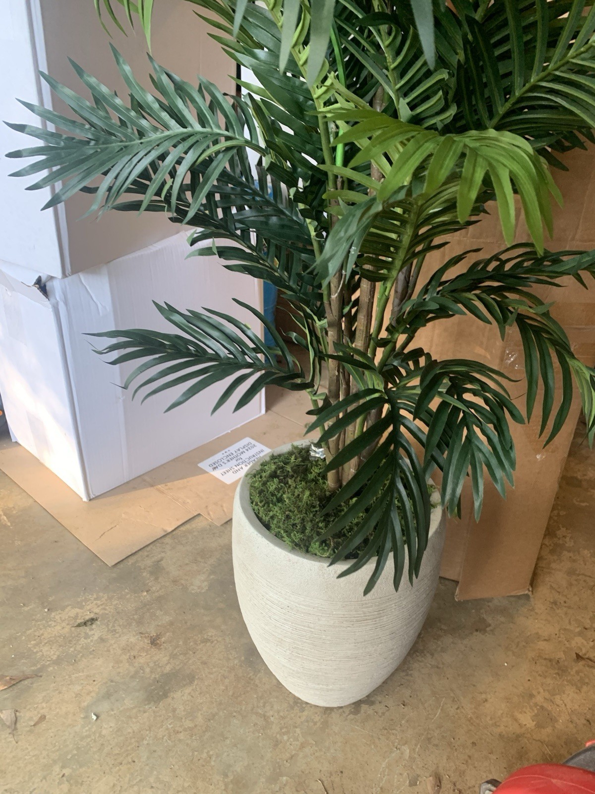 Indoor 4ft, Paradise Palm Artificial Tree in Sand Colored Planter