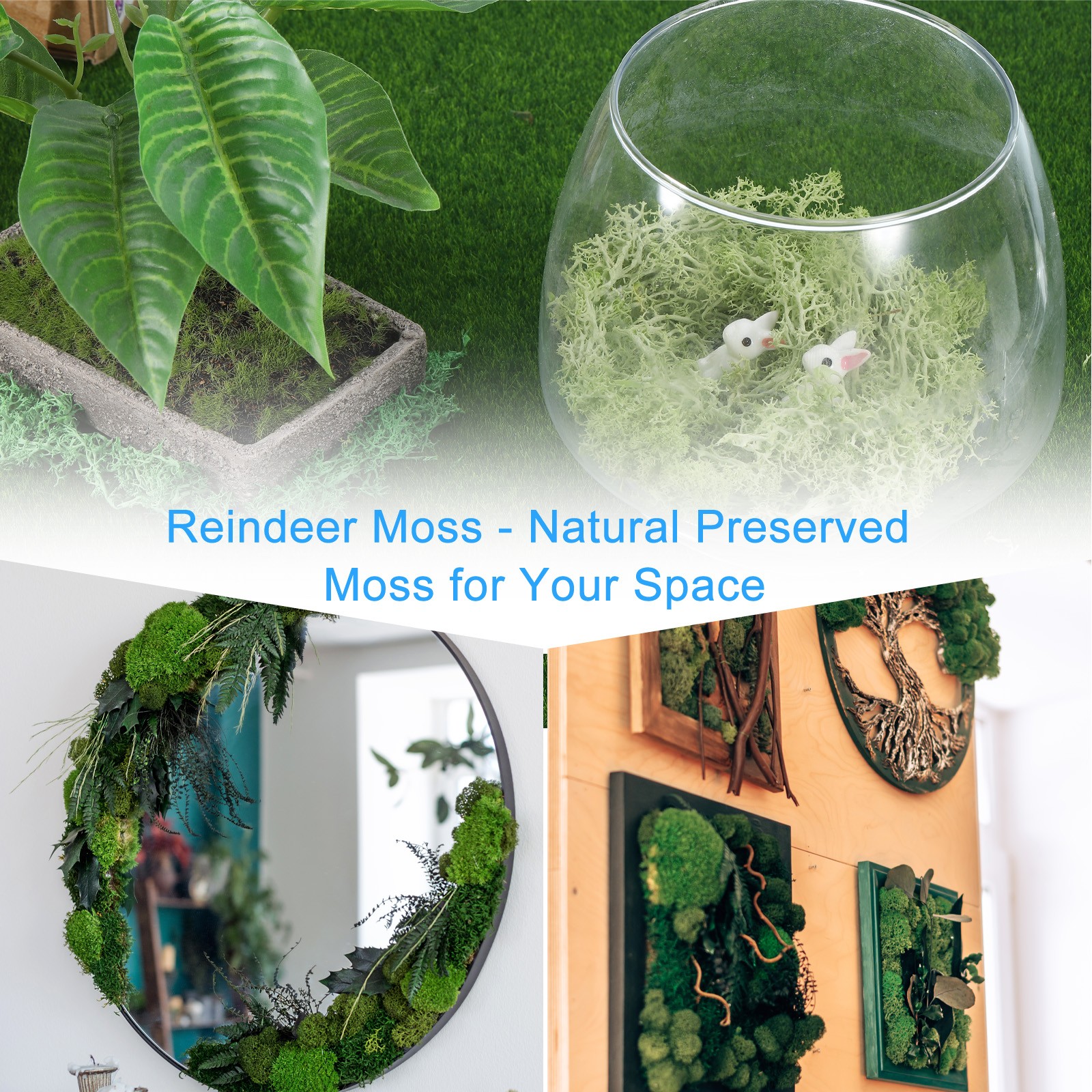 0.35 OZ Moss Preserved Moss Artificial Moss for Craft Floral Chartreuse