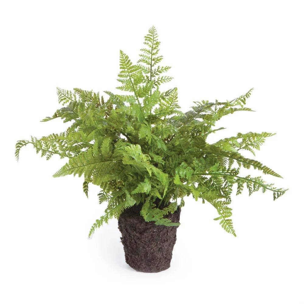 Soft Fern Drop-In 10.5″