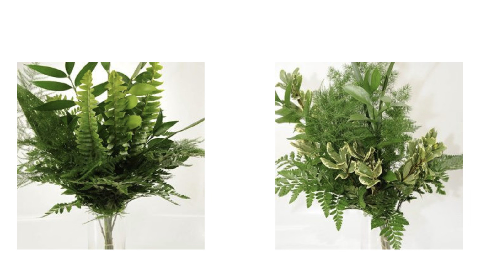 Greenery “drop in” Bouquets MEDIUM 10 Bunches