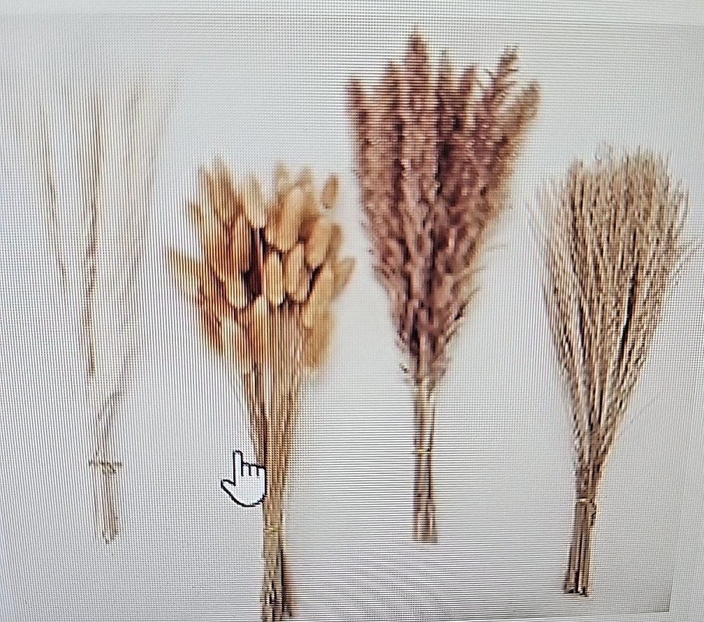 Natural Dried Pampas Grass Bouquet 50-80pcs Boho Home Decor Wedding DIY Vase new