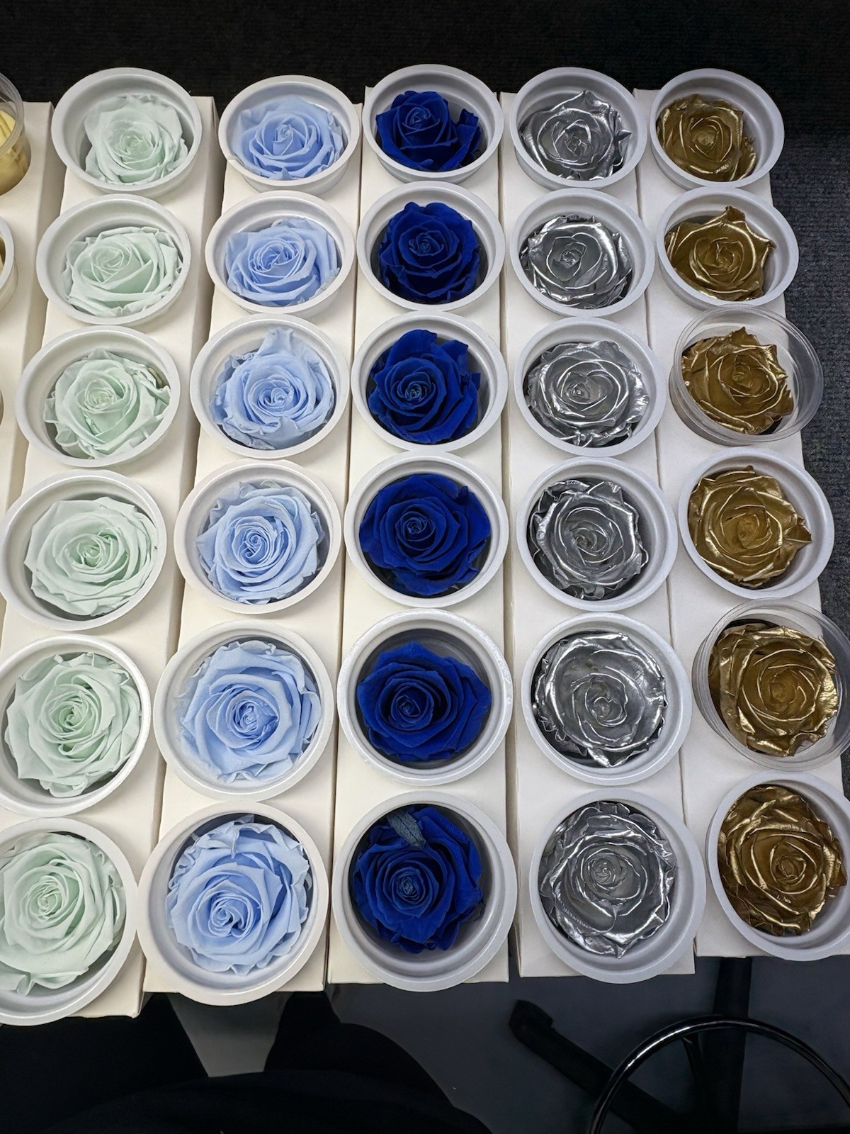Eternal Roses Bulk 10 Packs of 6