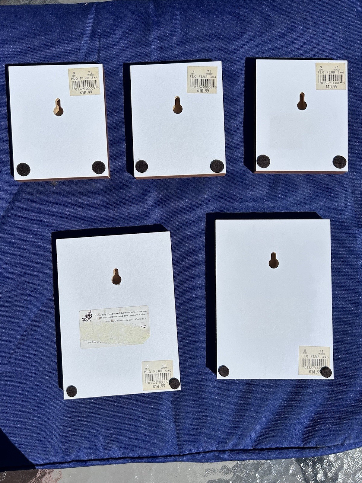Vintage Pressed Flower Art Set 5 Botanical Floral Plaques Cottagecore Wall Decor