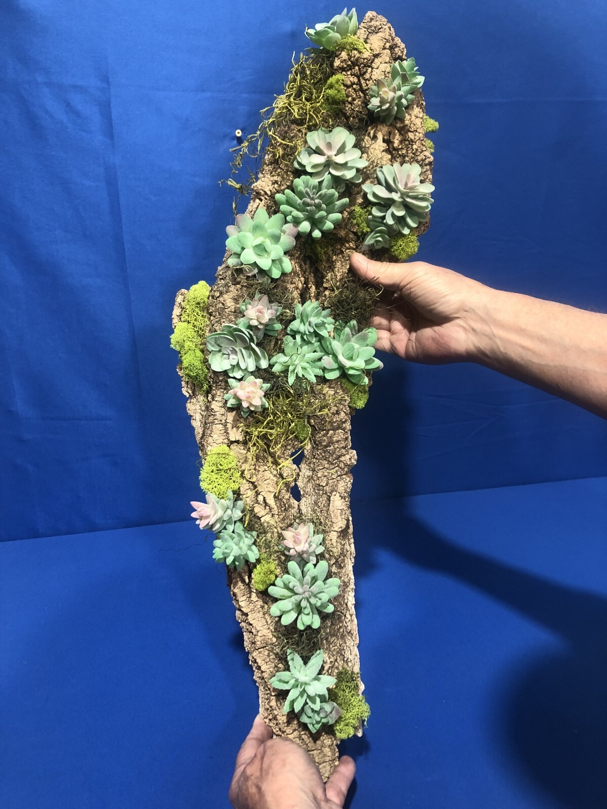 Artificial Succulent Air Plant Wall Art Home Office Mounted on Real Wood Bark