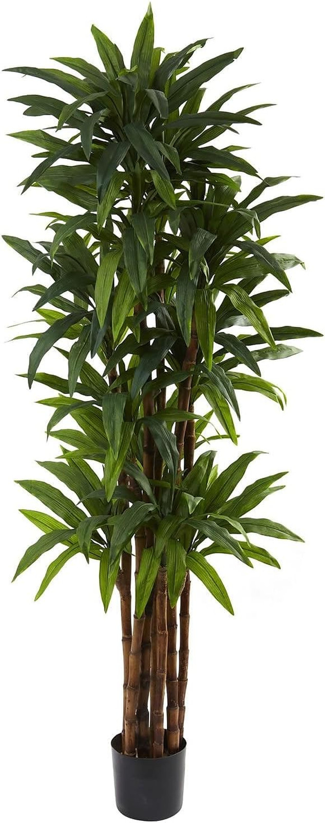 6.5-Foot Dracaena Tree – Lifelike Green Plant Decor