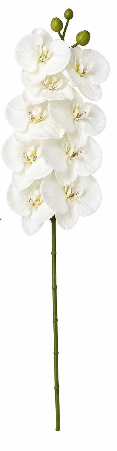 White Orchid Stem Artificial Floral Pick 26 Inch Ivory White Faux Orchid Spray f