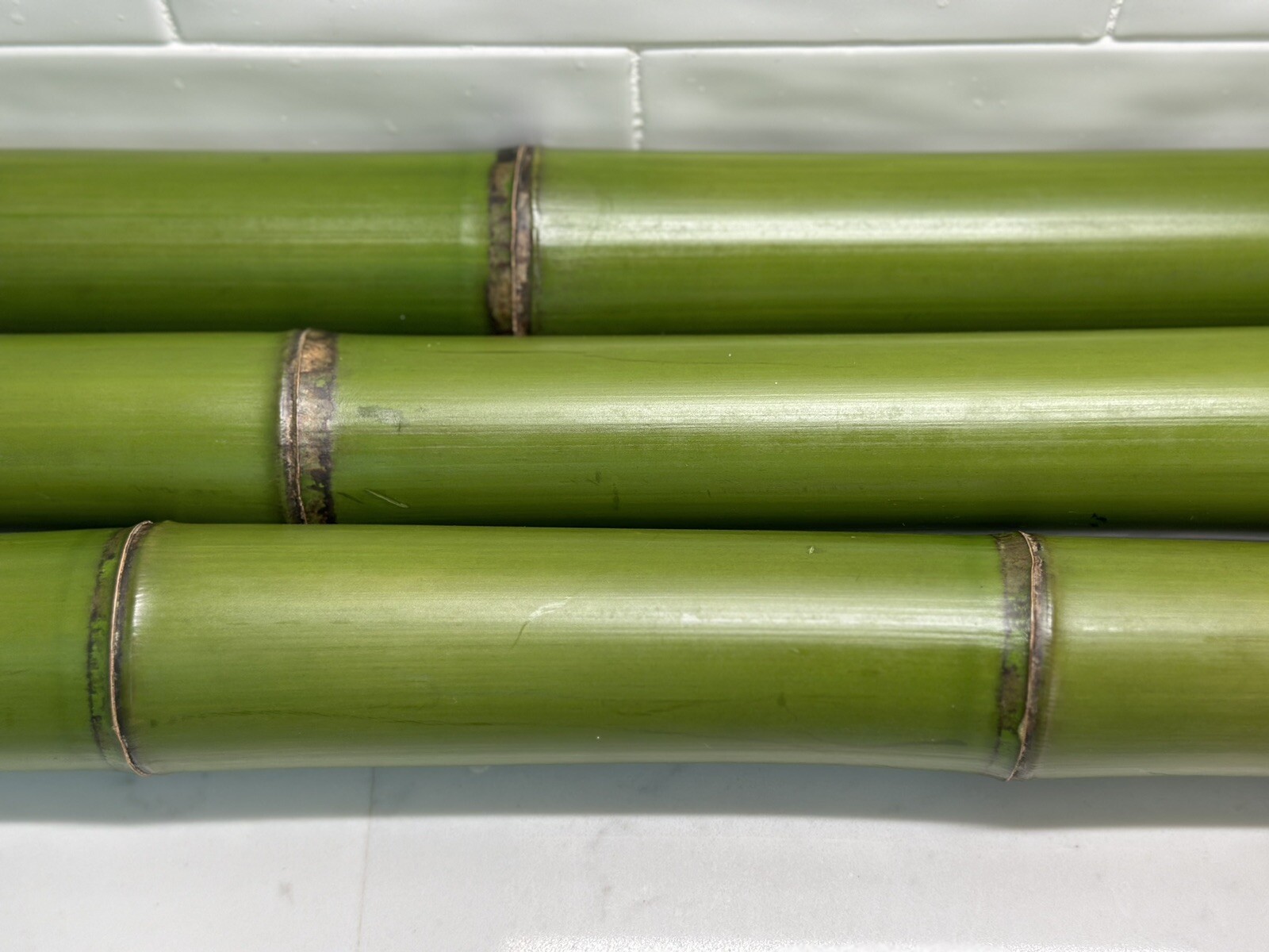 1” Fresh Cut Natural Bamboo For Decor (You Choose Length) 1ft – 8ft