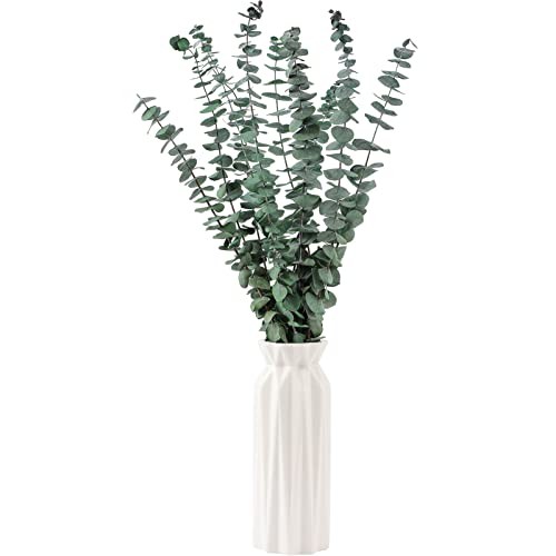 Dried eucalyptus stems bundle for shower hanging farmhouse home decoration