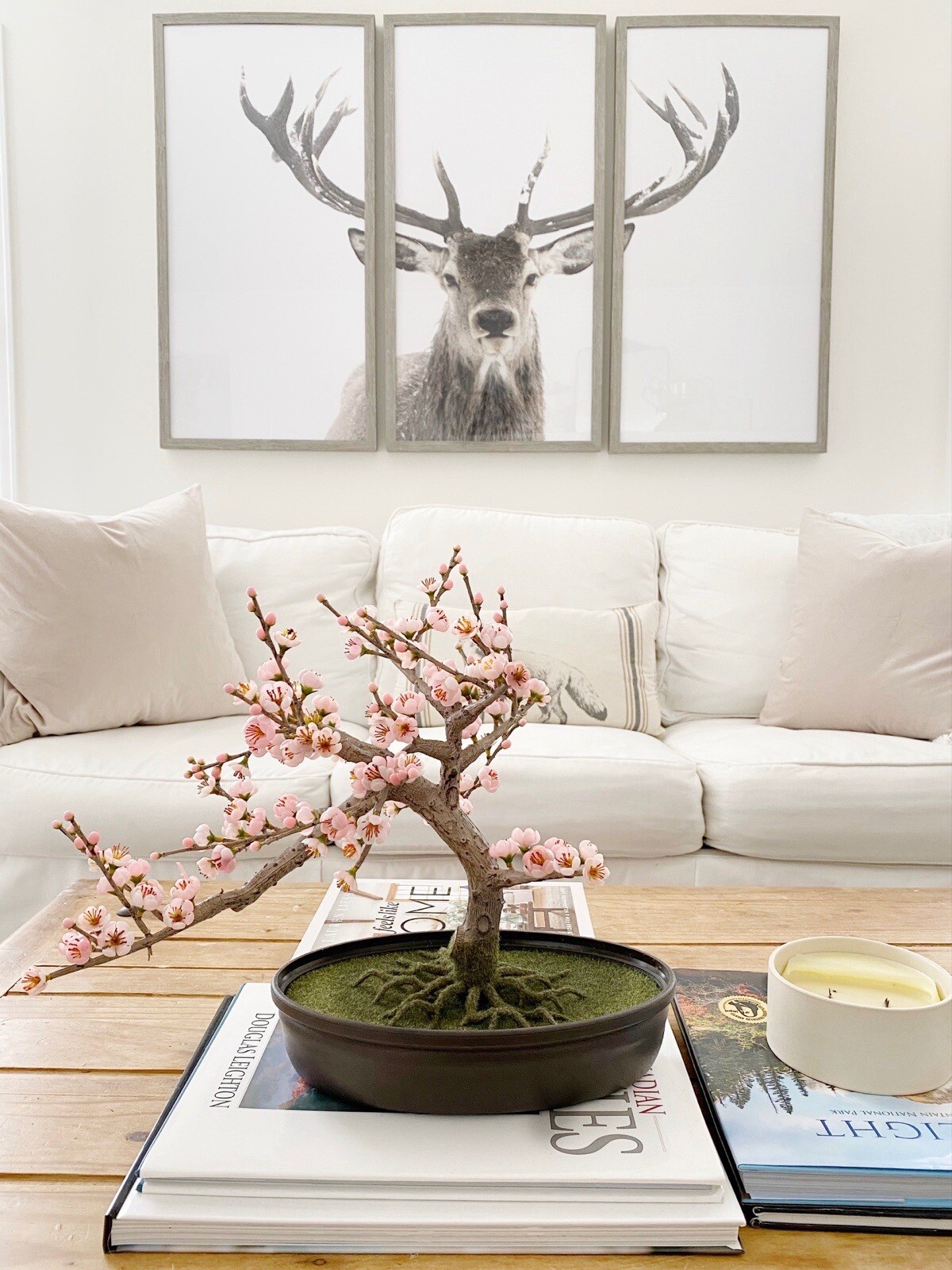 15” Cherry Blossom Bonsai Styled Artificial Tree w/Decor Planter. Retail $98