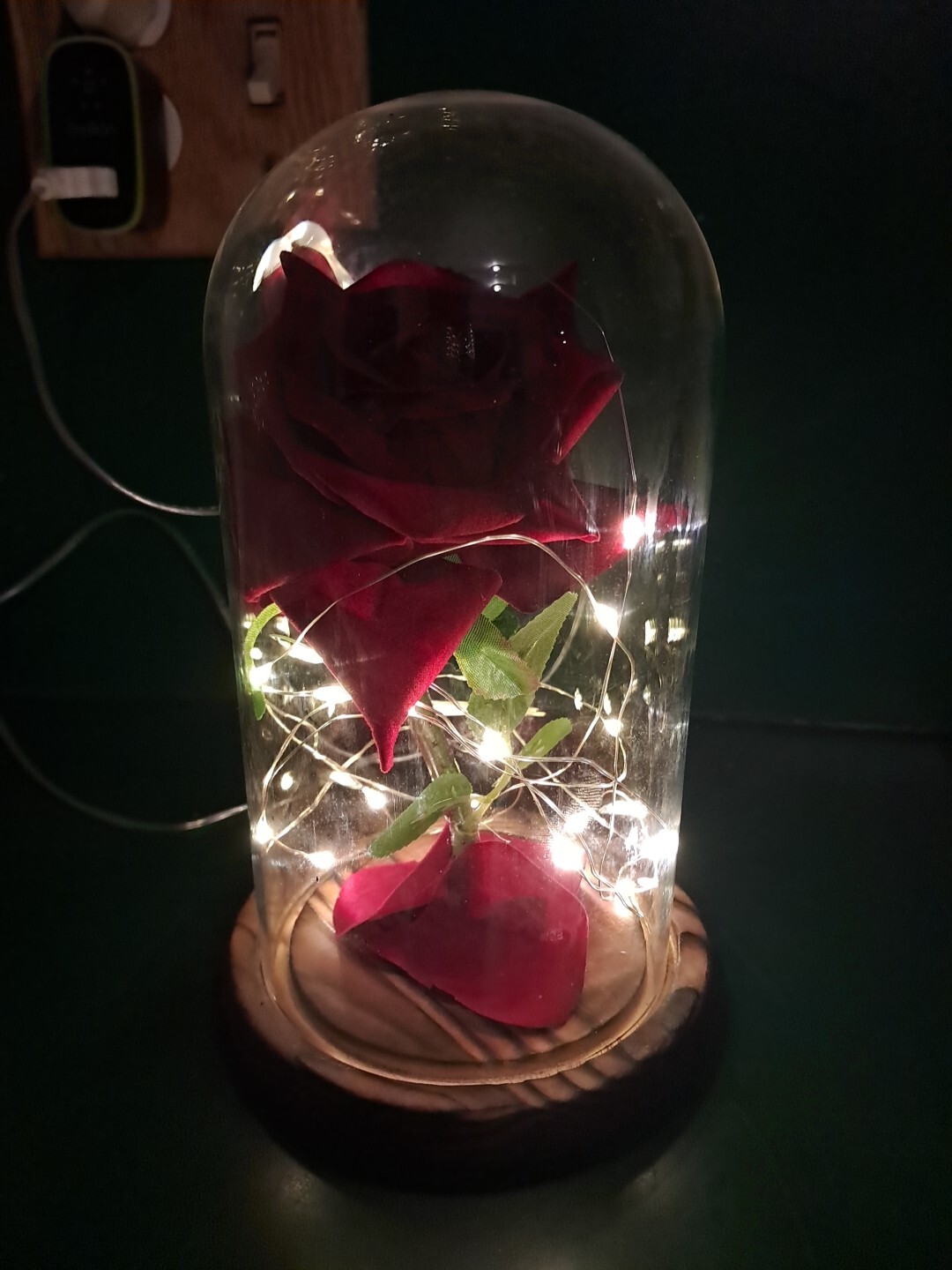 8″ Beauty and The Beast Light Rose Romantic Red Velvet Flower Gift in Glass Dome